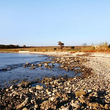Daire With A Parking Space Novigrad - 7142