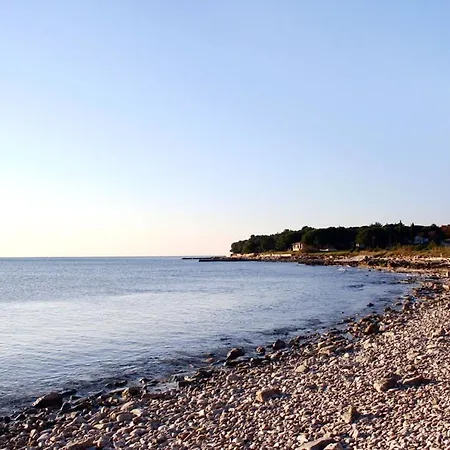 With A Parking Space Novigrad - 7142 Apartman