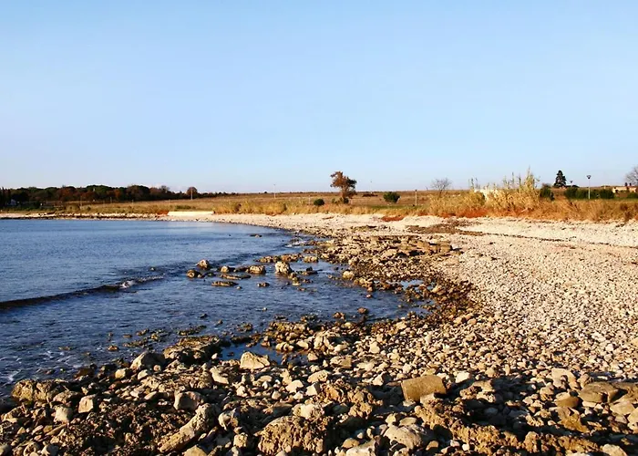 Διαμέρισμα With A Parking Space Novigrad - 7142