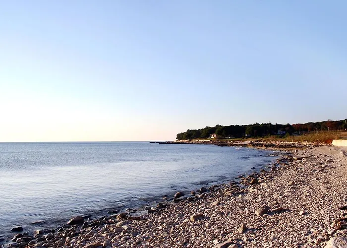 With A Parking Space Novigrad - 7142 Διαμέρισμα